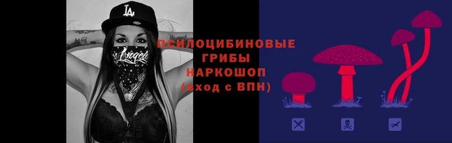 шишки Лихославль