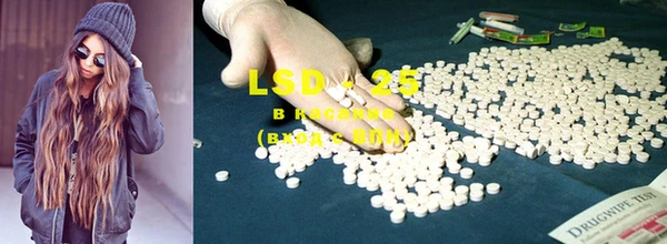 PSILOCYBIN Липки