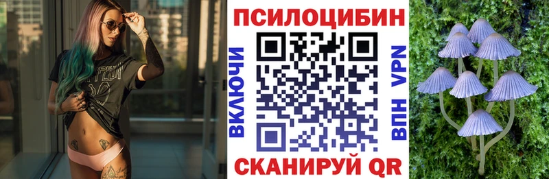 Купить где  Рассказово  Псилоцибиновые грибы MAGIC MUSHROOMS 